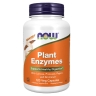 Plant Enzymes 